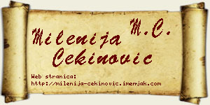 Milenija Cekinović vizit kartica